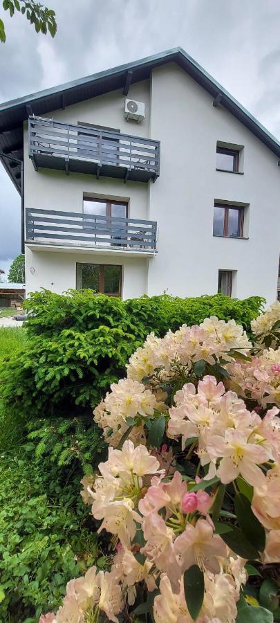 Apartamenty Montania 비스와 외부 사진