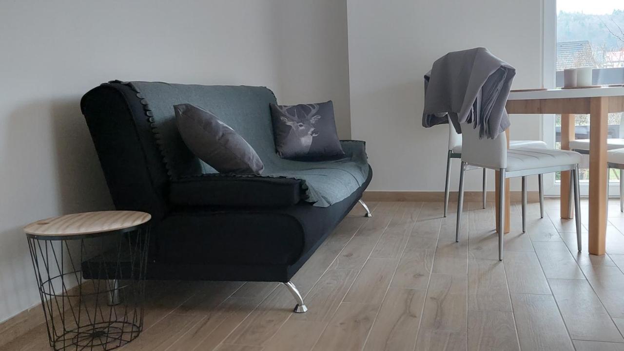 Apartamenty Montania 비스와 외부 사진
