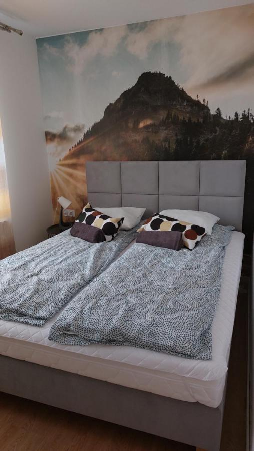 Apartamenty Montania 비스와 외부 사진